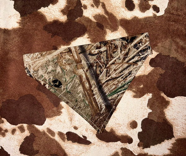 Dog Bandana